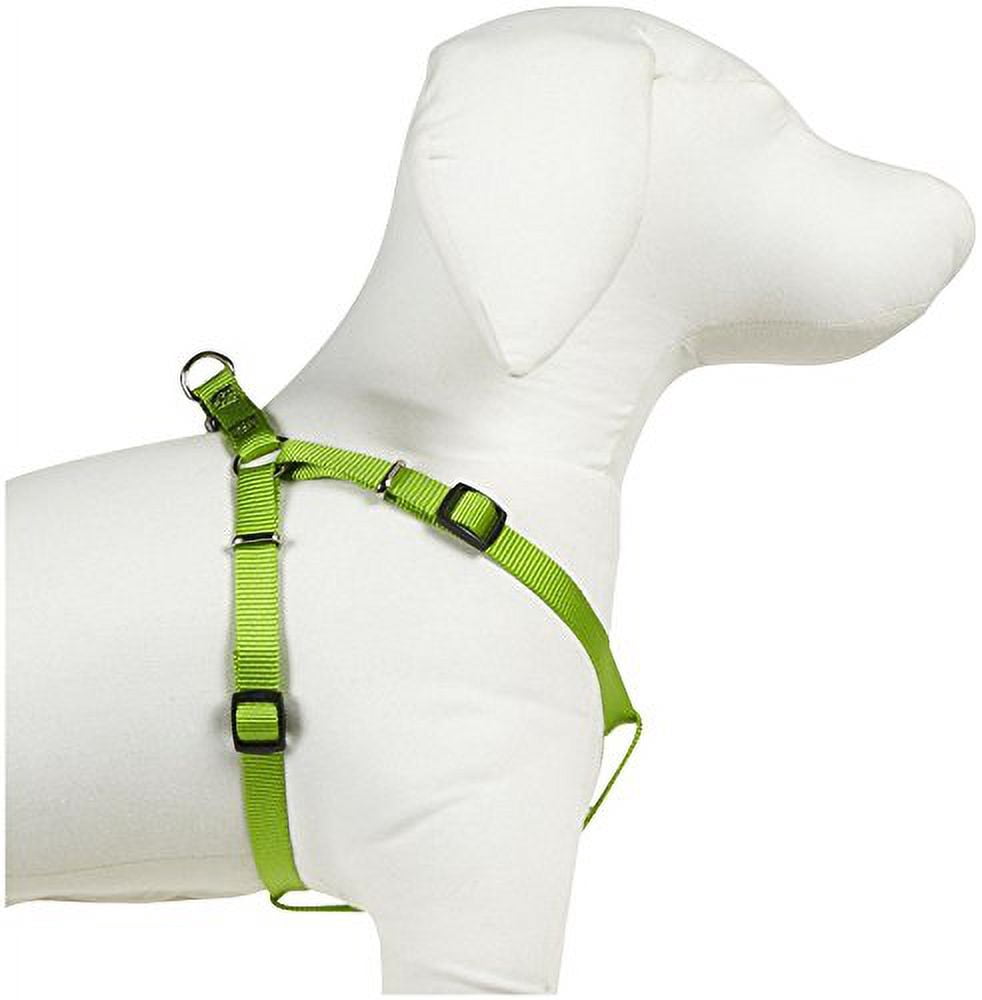 Casual Canine ZA807 25 29 25-40 in. Nylon 2 Step Dog Harness, Green