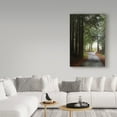 thumbnail image 3 of Trademark Fine Art 'Forest Road' Canvas Art by Lance Kuehne, 3 of 3
