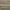 Ashy Brown Finish, variant on Pearl Mantels Beautiful Natural Acacia Wood Mantel Shelf, Unique Wood Character Enhanced By A Natural Clear Finish, 48"L x 9"D x 5"H