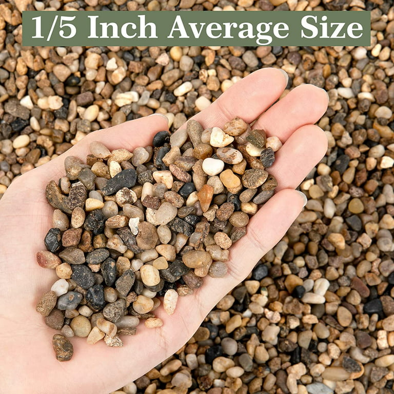 PGN White River Rocks for Plants - 15 Pounds - White Rocks with Smooth,  Polished Surfaces - 2-4 Inch Stones for Planters, Aquarium Decorations,  Vase, Fireplace, Landscaping, Outdoor Décor 