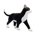 thumbnail image 4 of Animal Organ Anatomy Model 4D Cat Intelligence Assembling Toy Teaching Anatomy Model DIY Popular Science Appliances, 4 of 6