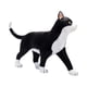 thumbnail image 4 of Modelo de AnatomíA de óRganos de Animales Juguete de Ensamblaje de Inteligencia de Gato 4D Modelo de AnatomíA para EnseñAnza, Aparatos de Ciencia Populares DIY, 4 of 6