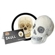 GIANTmicrobes Skull Plush- Adorably Realistic Plush Human Skull Educational Biology Gift Excellent Gift for Students, Doctors, Nurses, Teachers, Scientists, and Any Lover of Heads and Bones