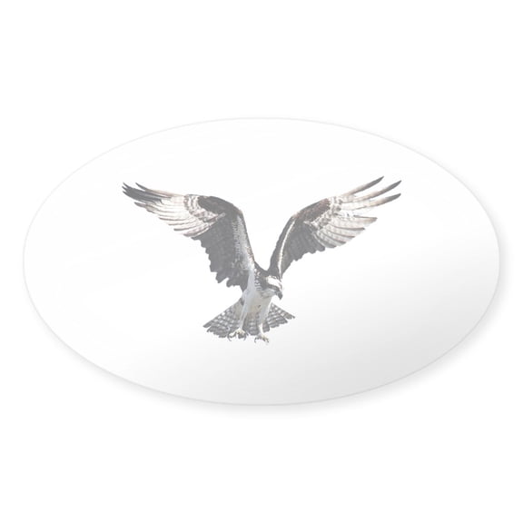 CafePress - Osprey In Flight - Sticker (Oval)