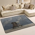 thumbnail image 2 of SKYSONIC Lightweight Carpet Mats Area Soft Rugs Floor Mat Rug Decoration for Kids Room Living Room Bedroom 72 x 48 inches Elephant Dog Sit Under Rain, 2 of 6