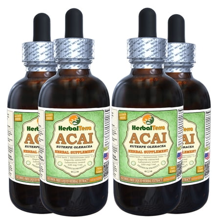 Acai (Euterpe oleracea) Glycerite, Organic Berries Alcohol-FREE Liquid Extract (Herbal Terra, USA) 4x4 oz