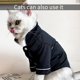 thumbnail image 4 of Pijamas de seda para perros pequeños y gatos, camisetas suaves para mascotas, ropa de descanso para cachorros, ropa de dormir para gatos (negro) M, 4 of 6