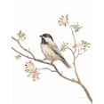 thumbnail image 2 of Nai, Danhui 15x18 Gold Ornate Wood Framed with Double Matting Museum Art Print Titled - Black Capped Chickadee v2 on White, 2 of 4