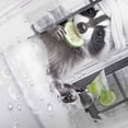 thumbnail image 2 of Funny Raccoon Shower Curtain, Cute Fun Animal Cartoon Modern Pets Bathroom Curtains,Grey Black White Rustic Farmhouse Wildlife Hilarious Bath Curtain Set with Hooks, 47X64in, 2 of 5