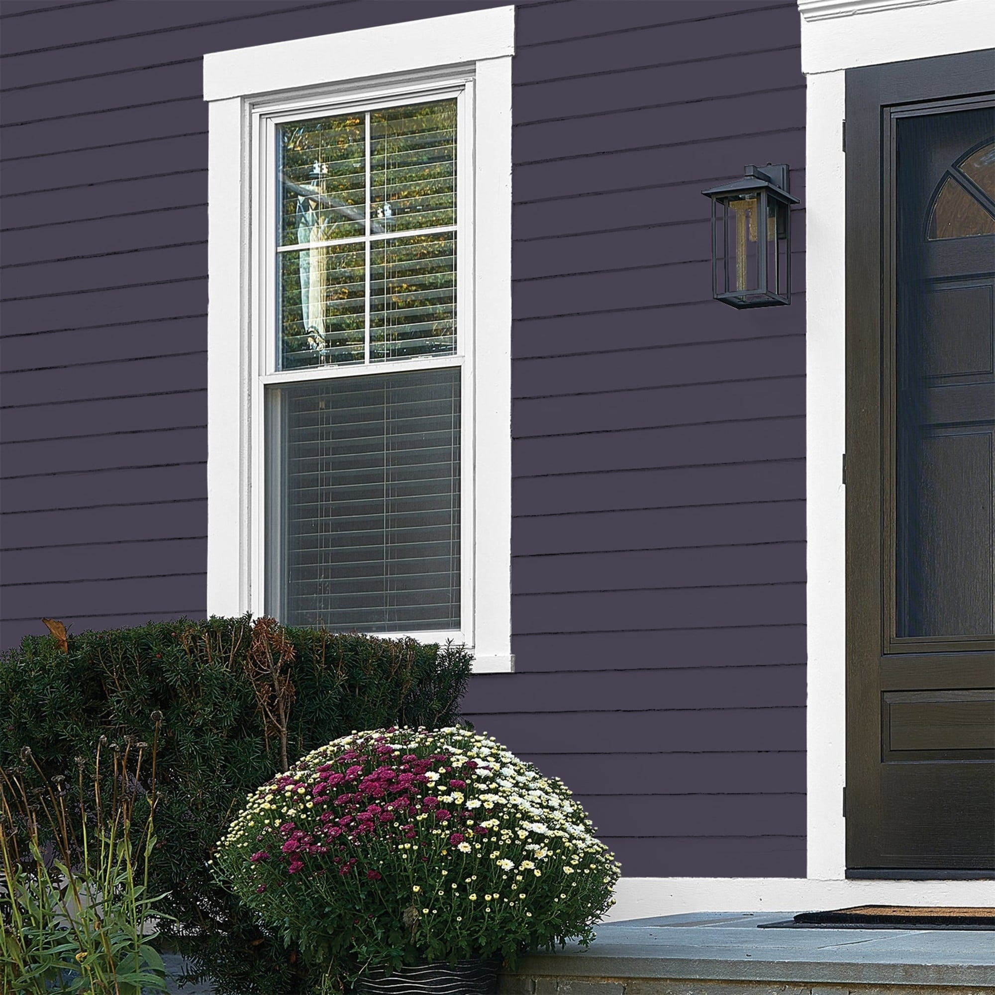 Glidden One Coat Blackberry / Purple Flat Exterior Paint with Primer, 1 Gallon