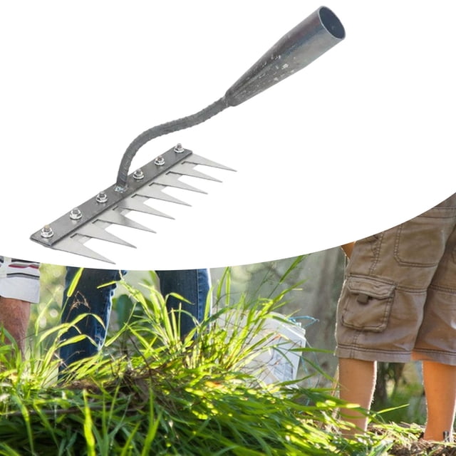 DYNWAVECA Râteau de Jardin, Outil à Main Pratique, Robuste et Polyvalent pour Jardinage, Extérieur, Jardinage, 8 Dents