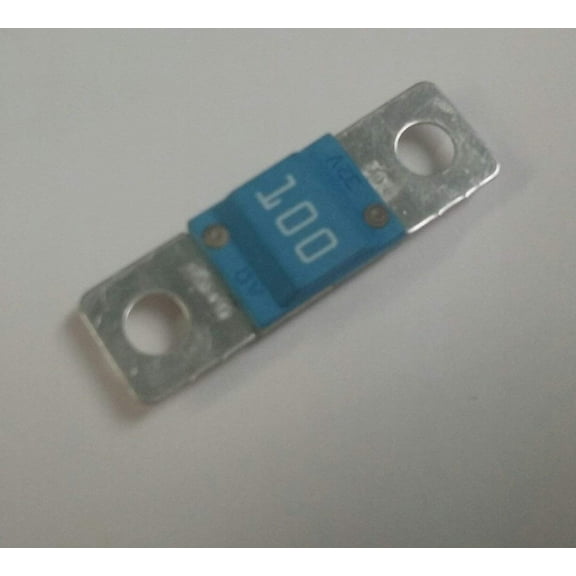 Bussmann BK/AMI-100 (1 EACH)