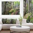 thumbnail image 1 of Wild Deep Moss Forest Ukraine - Landscape Canvas Art Print, 1 of 3