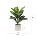 thumbnail image 3 of Nearly Natural 20in. Artificial Fiddle Leaf Fig Plant, 3 of 8