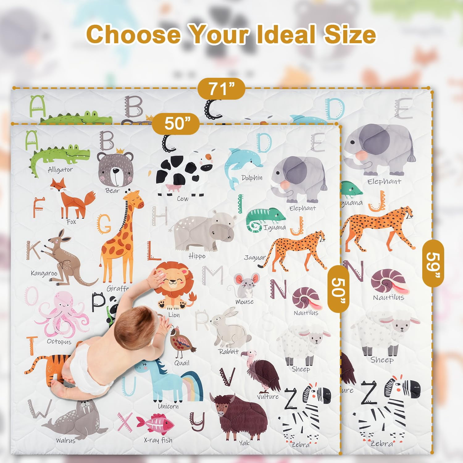 Premium Foam Baby Play Mat 50" x 50" – Removable & Machine Washable Cover, Extra Thick Padding Playpen Mat, Non-Slip Crawling Mat, Easy to Clean for Infants, Toddlers & Babies