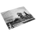 thumbnail image 3 of Print: Dreamland Fire, Coney Island, New York, 1911, 3 of 4