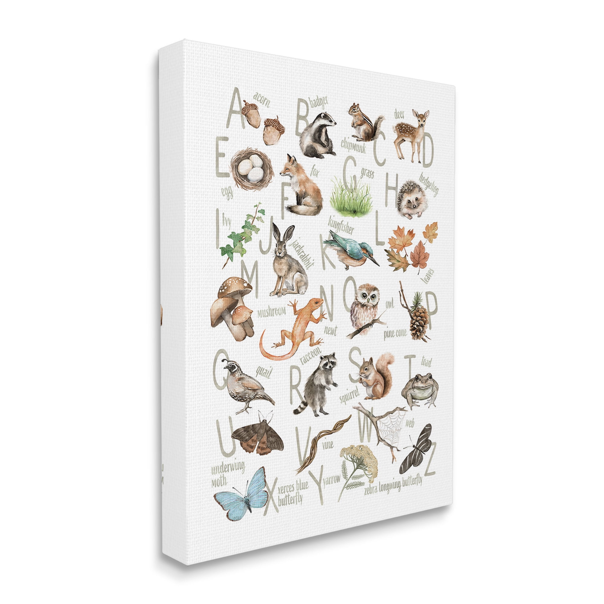 Stupell Industries Woodland Nature Alphabet Animals & Insects Painting Gallery Wrapped Canvas Art Print Wall Art, 24 x 30