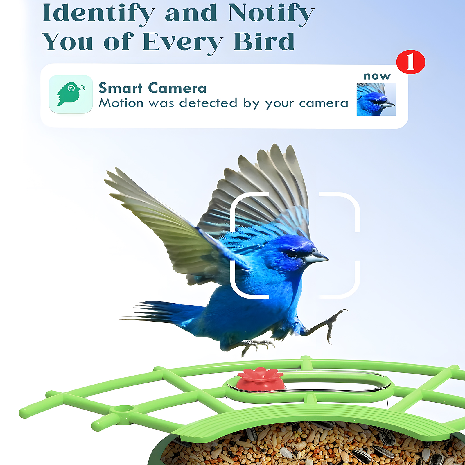 KORALAKIRI Bird Feeder with Camera, Solar Smart Hummingbird Feeder Outdoor with Wireless Camera Bird Houses for Outside Garden, 2K Video Live AI Recognition