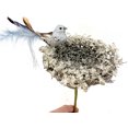 thumbnail image 5 of Bird Nest + Bird Clip Ornament for Christmas Tree, Centerpiece, Holiday Decor- 6", 5 of 6