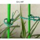 thumbnail image 4 of 80 Uds. Soportes de estacas para tomate, estacas para plantas y árboles, abrazaderas ajustables para cables de soporte y amarre de plástico para jardinería Diy, 4 of 5