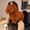 Brown, variant on Darzheoy Plush Horse Toy Simulated Pony Cute Zodiac Horse Children's Doll 23cm Mascot for Kids Play Home Decor Gift and Year of the Horse Celebration