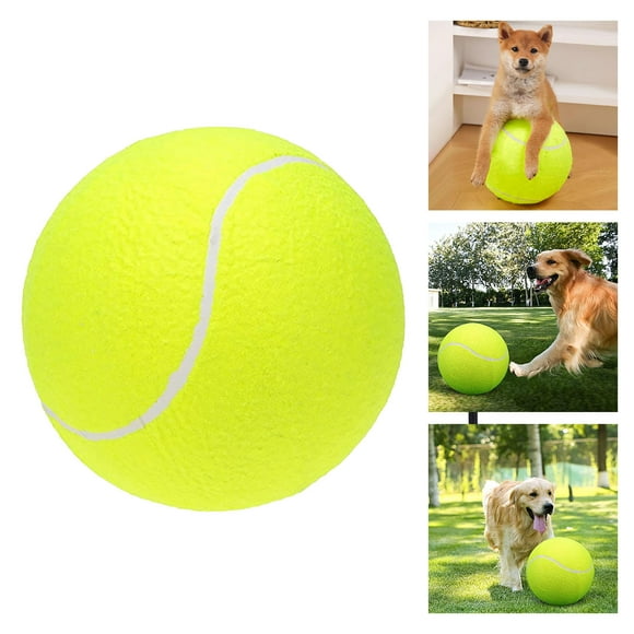 Grand Jouet de Tennis Interactif pour Dressage de Chien et Extérieur avec Votre Compagnon de Compagnie