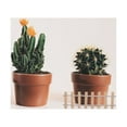 thumbnail image 3 of DEEPCRAFF 12Pack Fence Decorations Wood Natural Color Compact Home Decor, 3 of 8