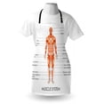 thumbnail image 3 of Human Anatomy Apron Muscle System Diagram of Man Body Features Biological Elements Medical Heath Image, Unisex Kitchen Bib Apron with Adjustable Neck for Cooking Baking Gardening, Coral, by Ambesonne, 3 of 3