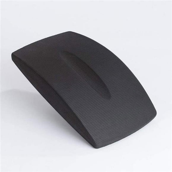 AGM Group 83462 18 x 10.5 x 3 in. Ecowise Spine Support Cushion, Black