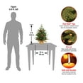 thumbnail image 3 of National Tree Company 2 ft. Nordic Spruce® Tree with LED Lights, 3 of 5