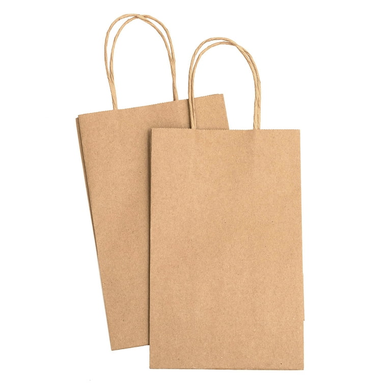 10 Pack 5.25x3.25x8.25 Inch Small Plain Natural Paper Gift Bags with  Handles Bulk, Kraft Bags for Birthday Party Favors Grocery Retail Shopping  Business Goody Craft Bags Cub (Brown 10 Count)(NO.545) 