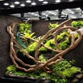 thumbnail image 3 of Lizards Jungle Climber Flexible Bendable Artificial Plant Terrarium Branch Reptile Vines Fake Rattan 3M A, 3 of 8