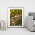 thumbnail image 3 of Cuadros Decorativos Juego de pintura al óleo acrílica de gatos por númerosdibujo en lienzoimágenes para colorear DIY Ehuebsd embutido en tela, 3 of 9