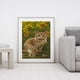 thumbnail image 3 of Cuadros Decorativos Juego de pintura al óleo acrílica de gatos por números dibujo en lienzo imágenes para colorear DIY Likrtyny embutido en tela, 3 of 9
