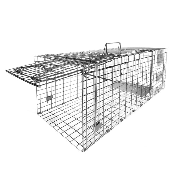 32in Collapsible Single-Door Animal Trap