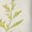 BZA2122, variant on Pretty wildflowers spring floral bouquet Sports Dresses Women Tennis Dress Outdoor Badminton Golf Quick-Drying And Breathable Sports Dress