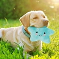 thumbnail image 3 of Dog Interative Star Shaped Squeaky For Cat Teaser Soft For Dogs Puppy Training Pet Toys, 3 of 4