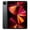 Gray, variant on Pre-Owned Apple iPad Pro 12.9 5th Gen (2021) Gray 128 GB WI-FI - Good
