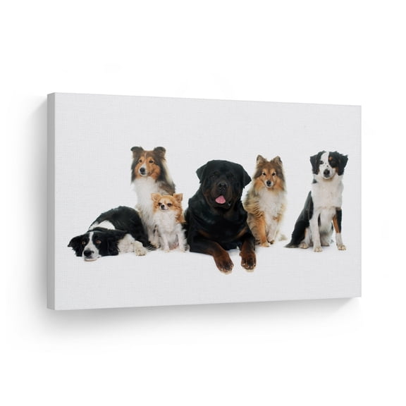 Smile Art Design Cute Border Collie Chihuahua Rottweiler Dog Animal Canvas Wall Art Print Pet Owner Dog Lover Mom Dad Gift Living Room Bedroom Kids Baby Nursery Room Decor Ready to Hang - 30x40