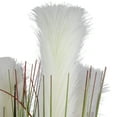 thumbnail image 5 of Northlight 27" Artificial Onion and Pampas Grass in Black Pot, 5 of 6