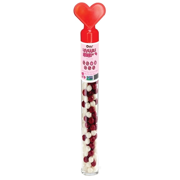 Loveable NoNo’s – Heart Top Tube (2 Pack)– Valentine’s Edition – Vegan, Allergy-Friendly, Kosher – Dairy, Peanut, Tree Nut, Egg, Soy, Gluten, Sesame Free – No Artificial Colors