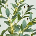 thumbnail image 6 of Nearly Natural 6ft. Lighted Artificial Fruiting Olive Tree with 280 Warm White LED Lights, 6 of 8