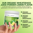 thumbnail image 6 of Dr. Berg Organic Wheatgrass Superfood Raw Juice Powder, Lemon Flavor, 164g, 6 of 10