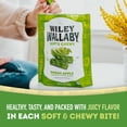thumbnail image 4 of Wiley Wallaby Licorice 10 Ounce Classic Gourmet Soft & Chewy Australian Green Apple Licorice Candy Twists, 3 Pack, 4 of 7