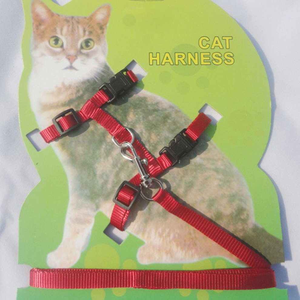 Optional Color Cat Leash Walmart Canada