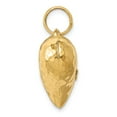 thumbnail image 2 of 14k Yellow Gold Hollow Polished Hammered Medium Puffed Heart Charm, 2 of 4
