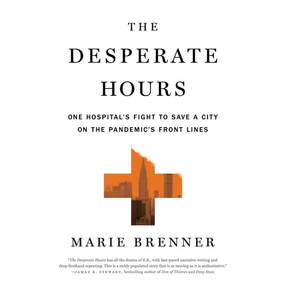 The Desperate Hours : One Hospital's Fight to Save a City on the Pandemic's Front Lines (Paperback)
