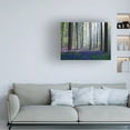 thumbnail image 2 of Adrian Popan 'Bluebells' Canvas Art, 2 of 4