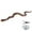 I, variant on Prank With String And Clip On A String Prank Props Clip On Prank For Teasing Friends Realistic Prank That People Prank Never Gets Old Toys