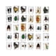 thumbnail image 1 of 30 Insects In Resin Specimen Bugs Collection Paperweights, Toy Bugs Suitable For Kids For Office Bi, 1 of 5